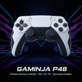 GAMINJA P48
